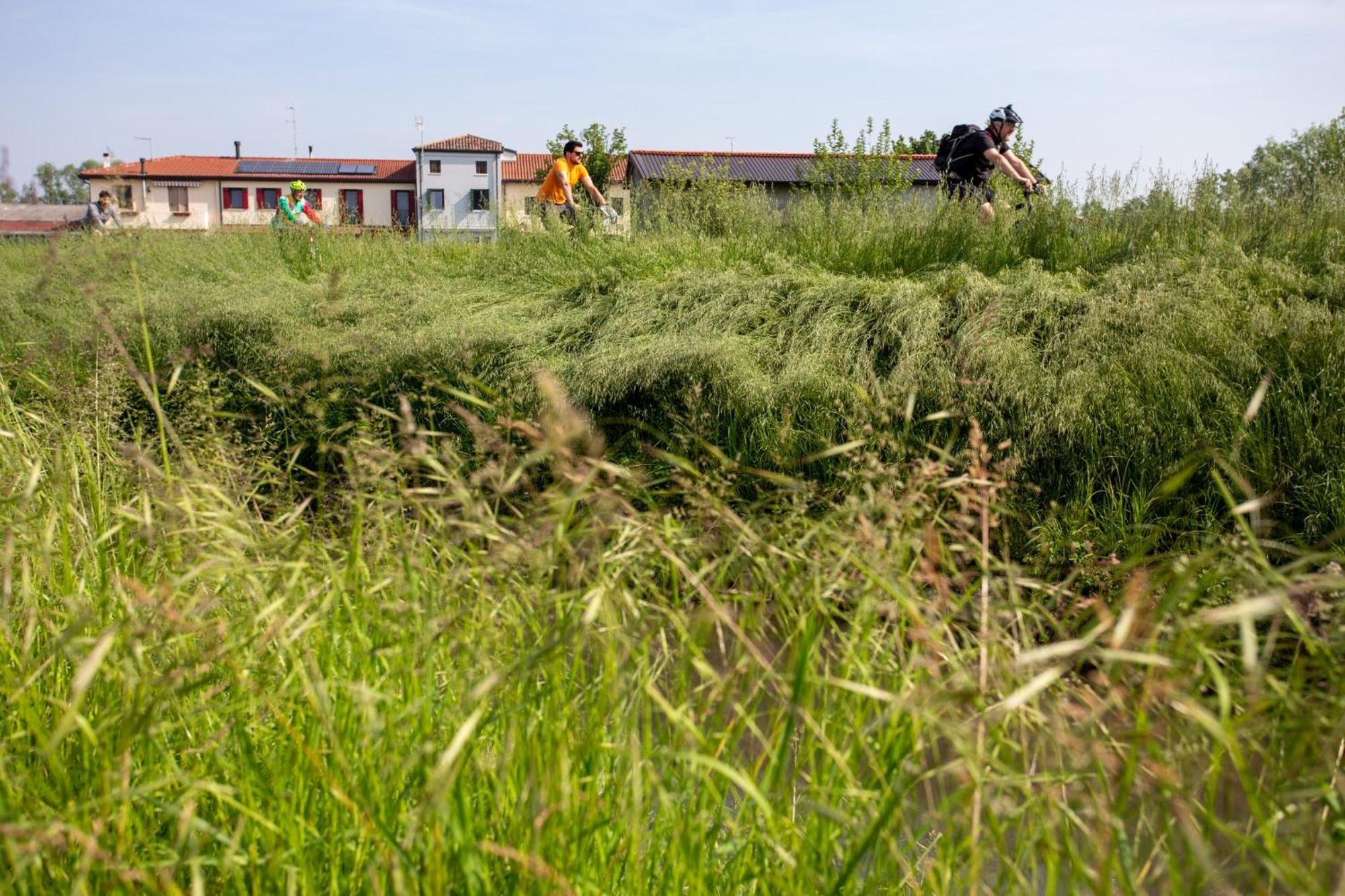 Agriturismo Al Botteniga Treviso Zewnętrze zdjęcie
