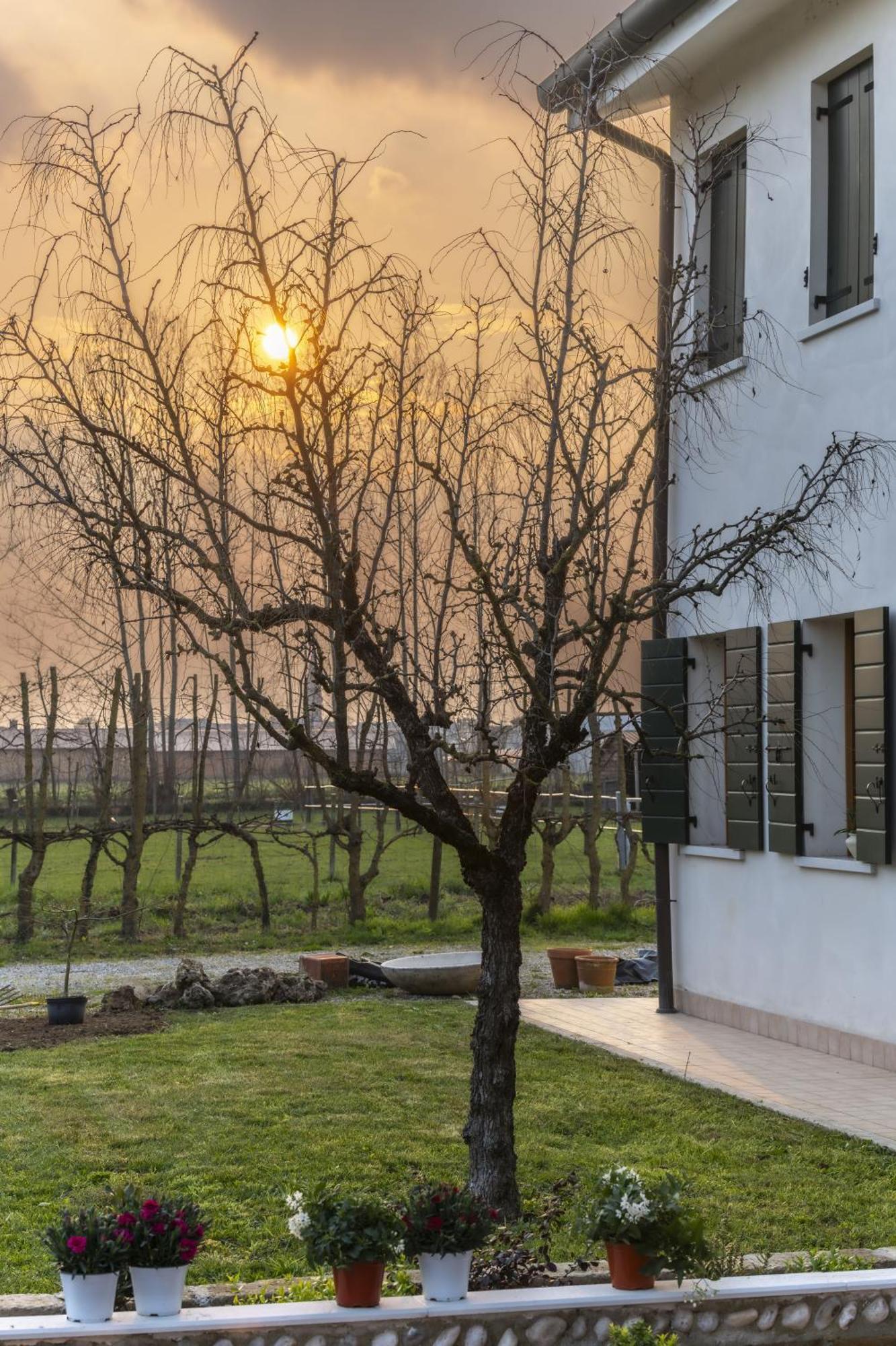 Agriturismo Al Botteniga Treviso Zewnętrze zdjęcie