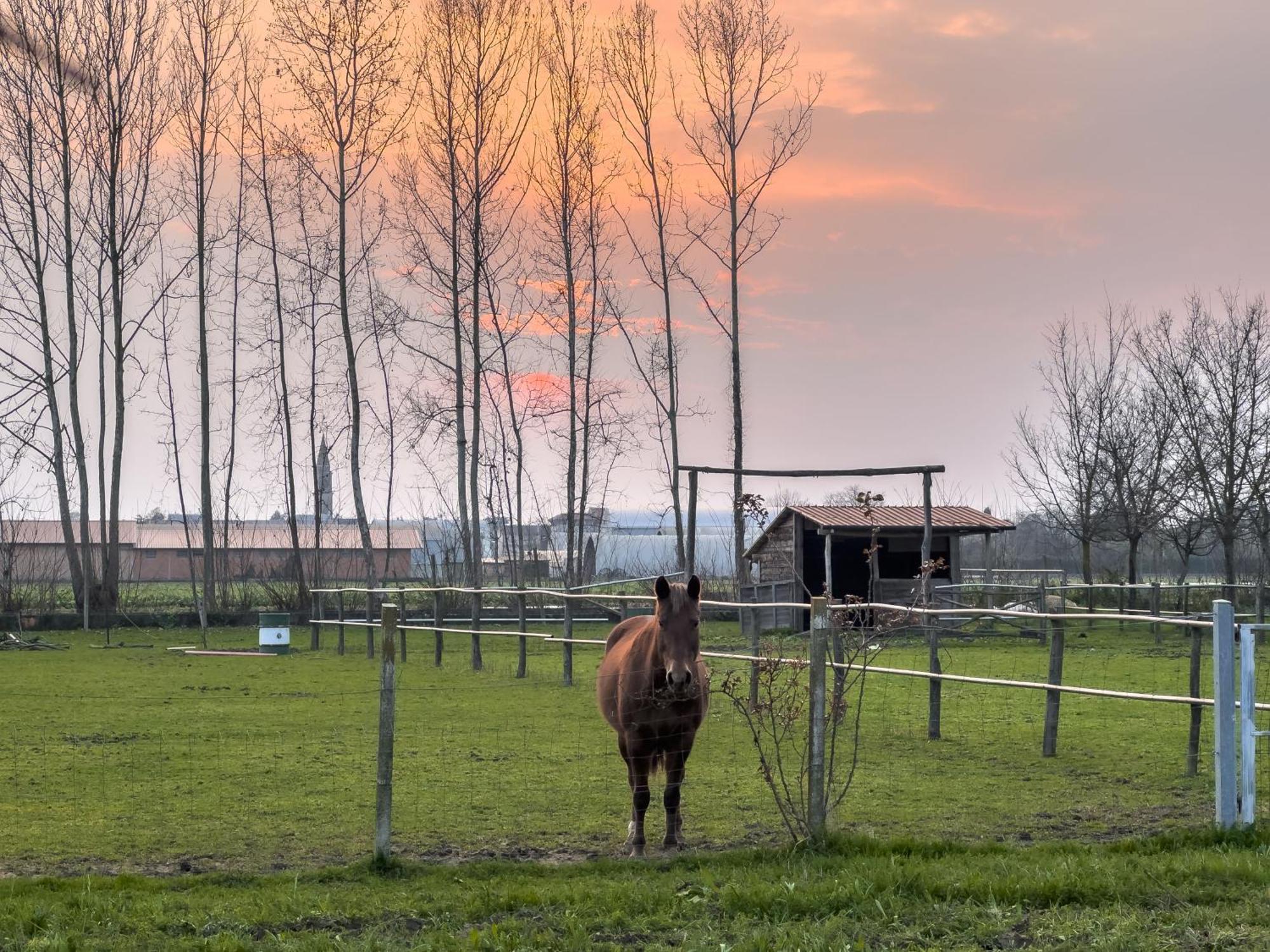 Agriturismo Al Botteniga Treviso Zewnętrze zdjęcie